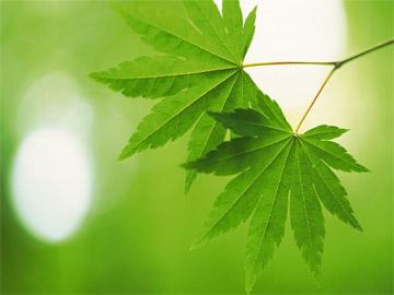 做个微信小程序大约多少钱(微信小程序的制作成本)-优化助手